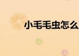 小毛毛虫怎么画（小毛毛 我爱你）