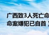 广西致3人死亡命案嫌犯已自首（广西致3死命案嫌犯已自首）