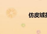 仿皮绒英文（仿皮绒）
