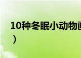 10种冬眠小动物画图幼儿（10种冬眠的动物）