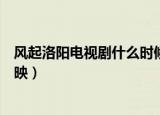 风起洛阳电视剧什么时候播出（风起洛阳电视剧什么时候上映）