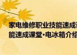 家电维修职业技能速成课堂·电冰箱（关于家电维修职业技能速成课堂·电冰箱介绍）