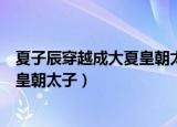 夏子辰穿越成大夏皇朝太子是什么小说（夏子辰穿越成大夏皇朝太子）