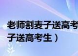 老师割麦子送高考生寓意感人温暖（老师割麦子送高考生）
