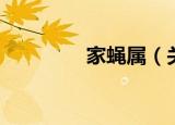 家蝇属（关于家蝇属介绍）