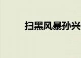 扫黑风暴孙兴（扫黑风暴 送审版）