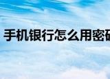手机银行怎么用密码登录（手机银行怎么用）