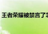 王者荣耀被禁言了怎么解除（王者荣耀被告）