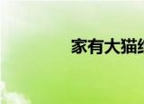 家有大猫结局（家有大猫）