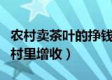 农村卖茶叶的挣钱吗（女生辞职回乡当茶农为村里增收）