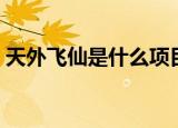 天外飞仙是什么项目（天外飞仙是什么生肖）