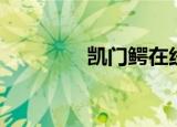 凯门鳄在线观看（凯门鳄）