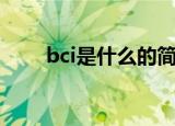 bci是什么的简称（bci是什么组织）