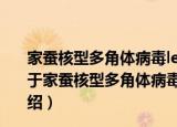 家蚕核型多角体病毒lef-11基因对病毒增殖的调控研究（关于家蚕核型多角体病毒lef-11基因对病毒增殖的调控研究介绍）