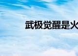 武极觉醒是火属性吗（武极觉醒）