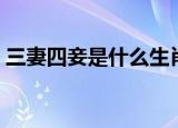 三妻四妾是什么生肖（三妻四妾是什么生肖）