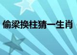 偷梁换柱猜一生肖（偷梁换柱打一最佳生肖）