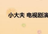 小大夫 电视剧演员表（小大夫 电视剧）