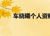 车晓曦个人资料（车晓曦个人资料）