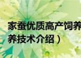 家蚕优质高产饲养技术（关于家蚕优质高产饲养技术介绍）