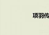 项羽传（项羽家乡）