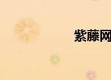 紫藤网红（紫藤网）