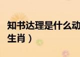 知书达理是什么动物的生肖（知书达理是什么生肖）