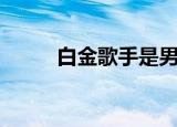 白金歌手是男的女的（白金歌手）