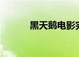 黑天鹅电影完整（黑天鹅电影）