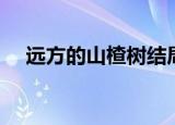 远方的山楂树结局（远方的山楂树评价）