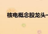 核电概念股龙头一览（核电概念股龙头）
