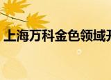 上海万科金色领域开盘（上海万科金色领域）
