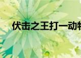 伏击之王打一动物（伏击之王打一生肖）