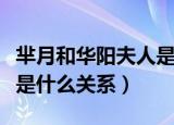 芈月和华阳夫人是什么关系（芈月和华阳夫人是什么关系）