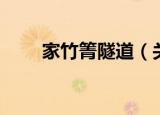 家竹箐隧道（关于家竹箐隧道介绍）