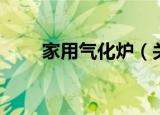 家用气化炉（关于家用气化炉介绍）