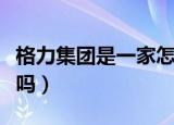 格力集团是一家怎样的企业（格力集团是国企吗）