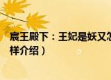宸王殿下：王妃是妖又怎样（关于宸王殿下：王妃是妖又怎样介绍）