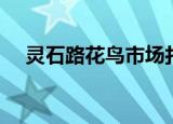 灵石路花鸟市场打架（灵石路花鸟市场）