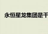 永恒星龙集团是干什么的（永恒星龙集团）