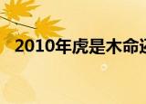 2010年虎是木命还是金命（2010年冬至）