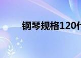 钢琴规格120什么意思（钢琴规格）