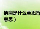 情商是什么意思智商是什么意思（情商是什么意思）
