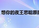 想你的夜王思聪原版视频（想你的夜王思聪）