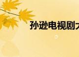 孙逊电视剧大全（孙逊电视剧）