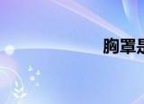 胸罩是什么意思？