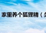 家里养个狐狸精（关于家里养个狐狸精介绍）