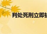 判处死刑立即执行的人（pc是什么）