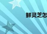鲜灵芝怎么吃（鲜灵芝）