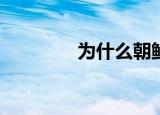 为什么朝鲜不能用避孕套？